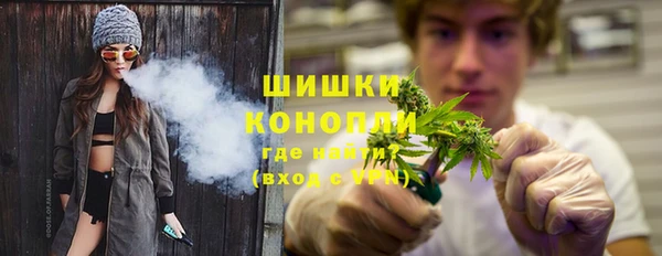 PSILOCYBIN Богородицк