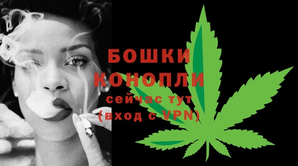 PSILOCYBIN Богородицк