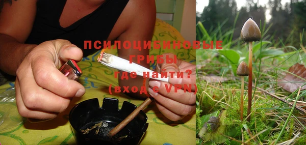 ПСИЛОЦИБИНОВЫЕ ГРИБЫ Богородск