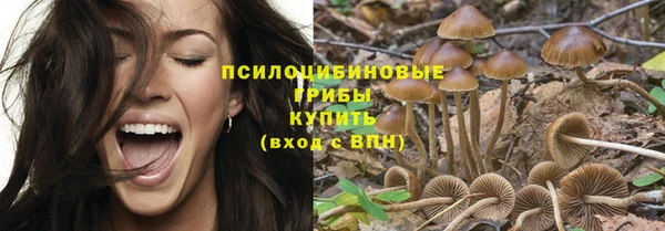 бошки Богданович