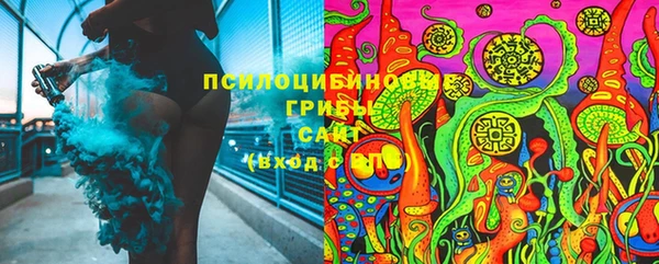 PSILOCYBIN Богородицк