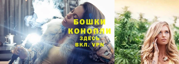 ПСИЛОЦИБИНОВЫЕ ГРИБЫ Богородск
